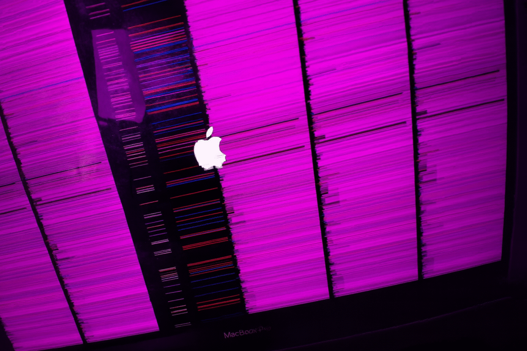 MacBook Display bleibt schwarz